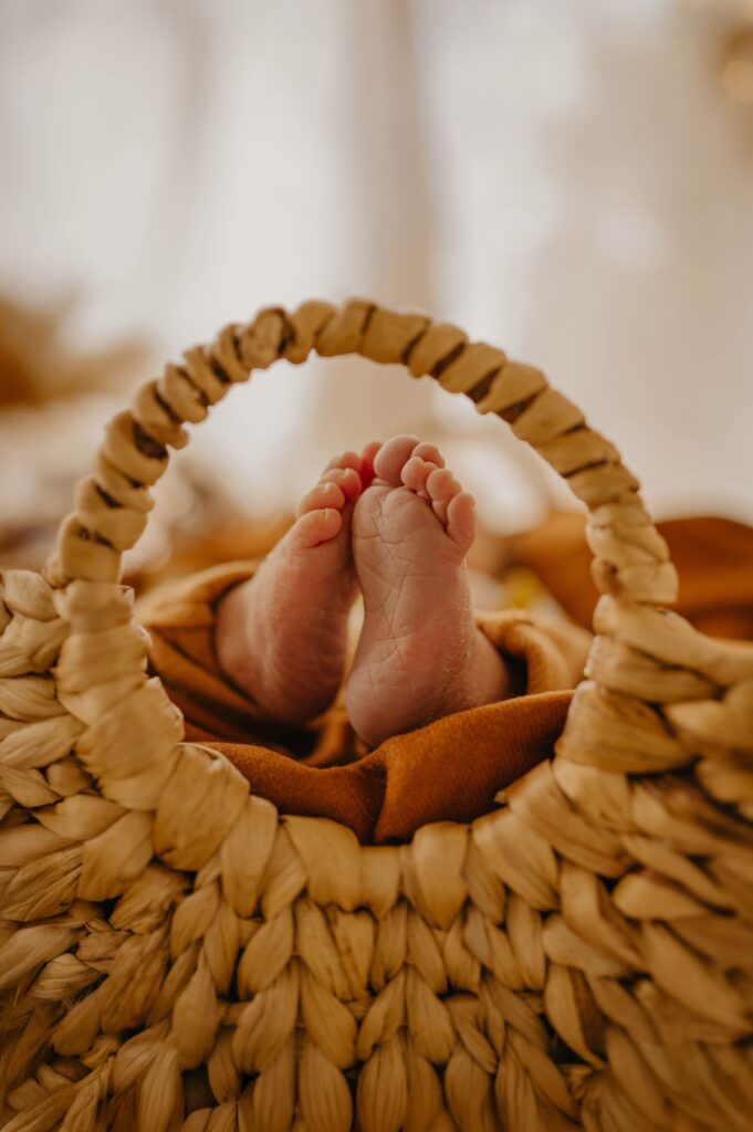 clemencegphotographie250125-13