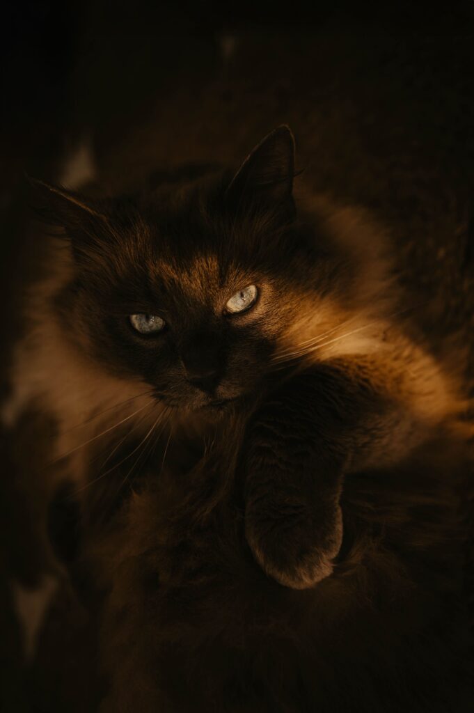 clemencegphotographie020325-19