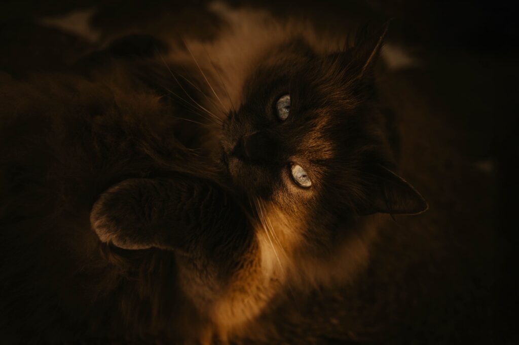 clemencegphotographie020325-19