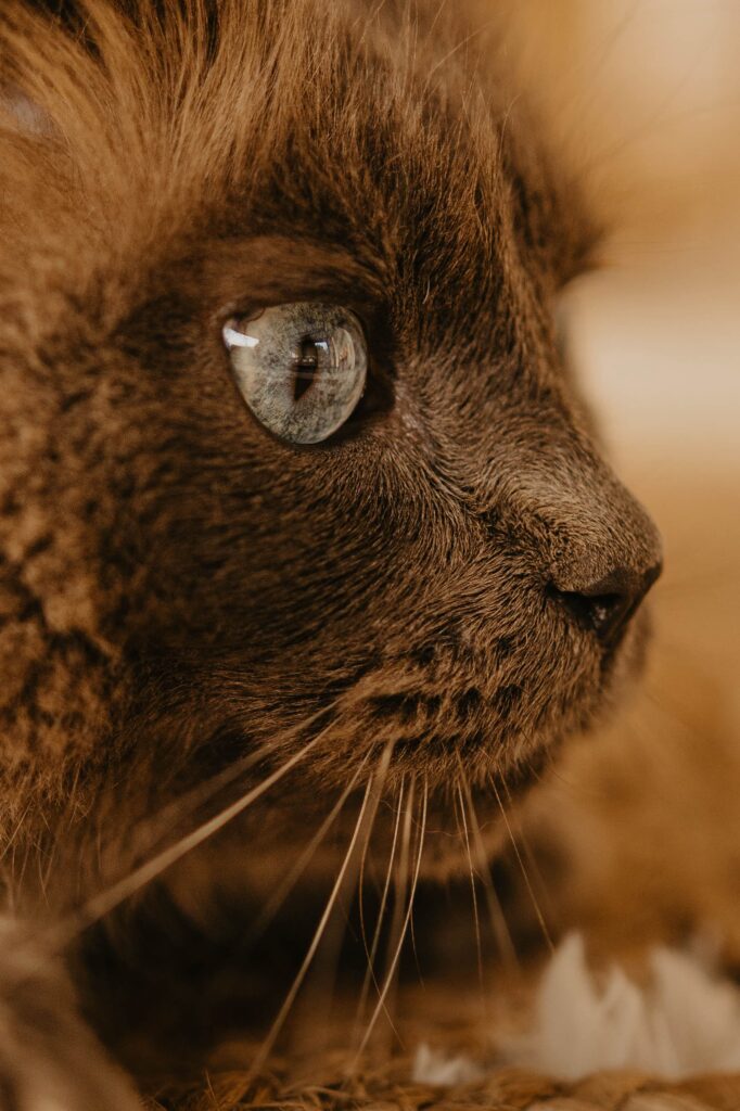 clemencegphotographie020325-21