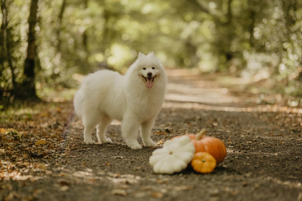 Clemencegphotographie-09102025-48