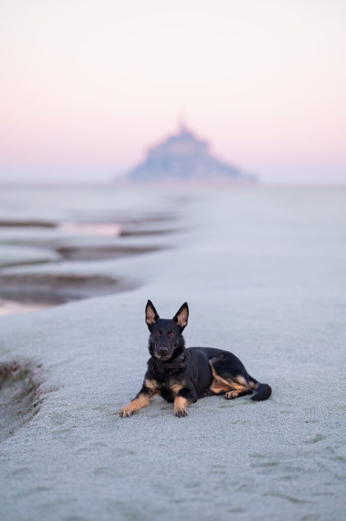 Clemencegphotographie-28122025-12