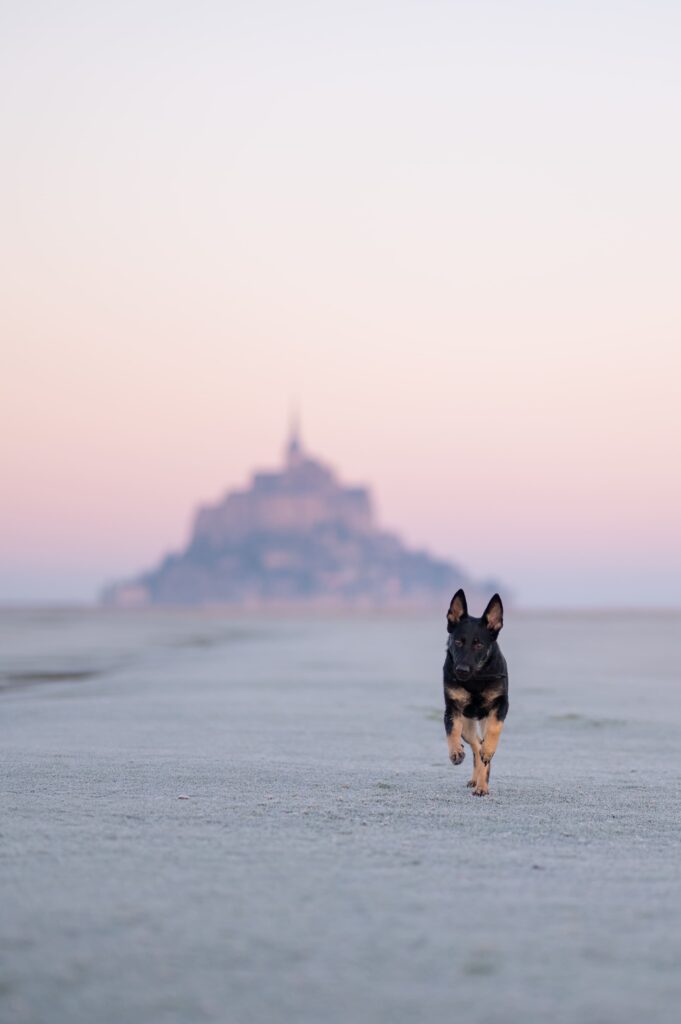 Clemencegphotographie-28122025-25