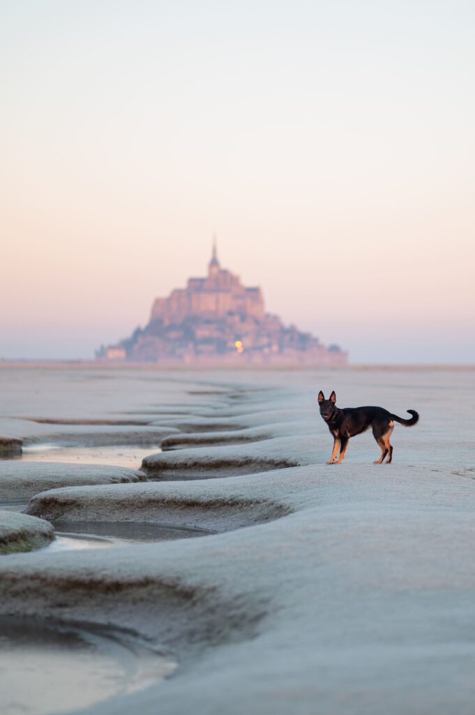 Clemencegphotographie-28122025-34